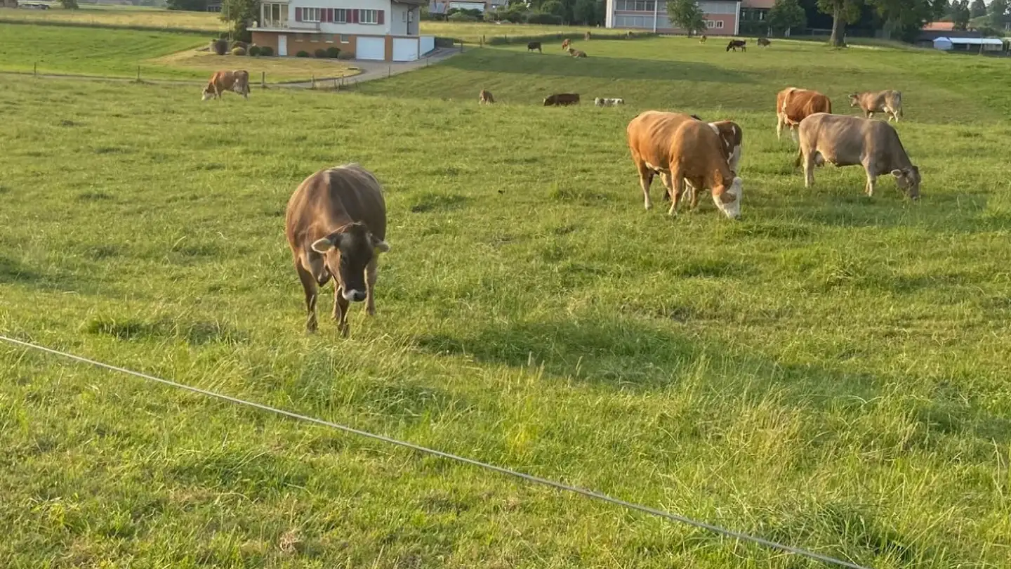 Appartement à louer - 3152 Mamishaus - Photo 4