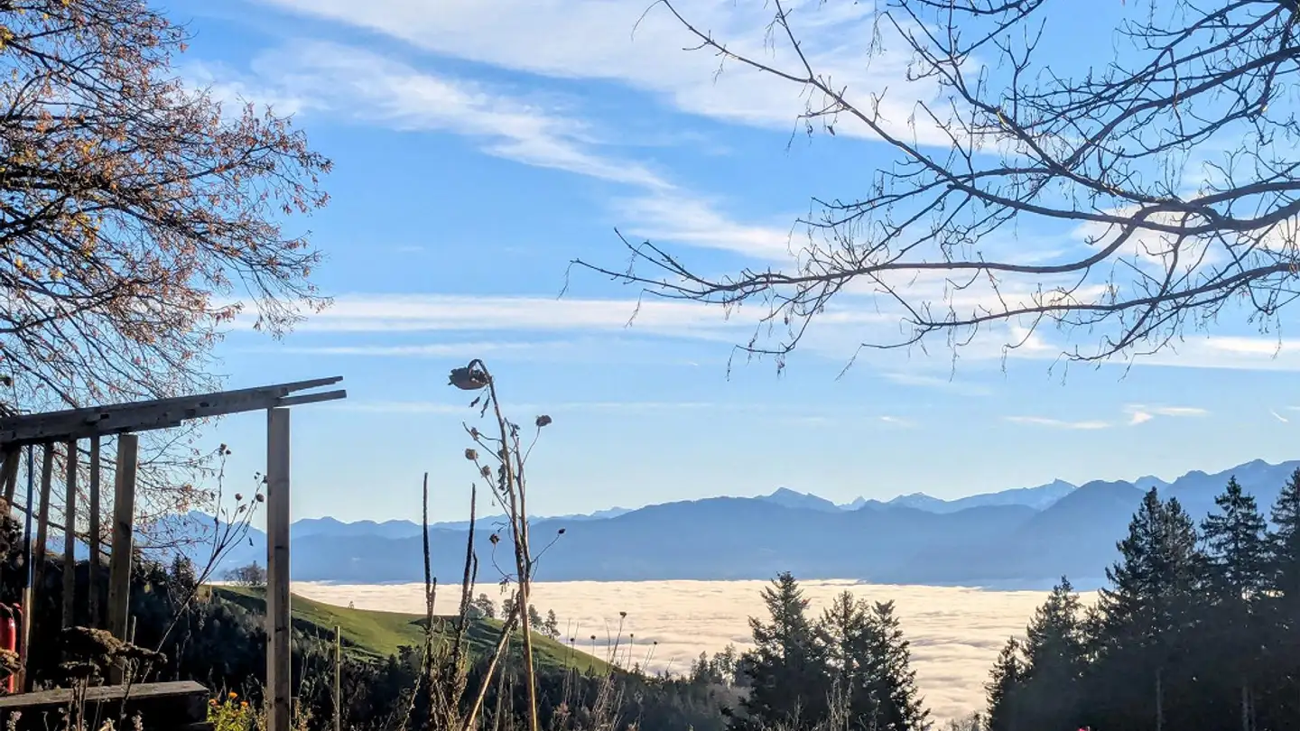 Ferme à vendre - 9413 Oberegg - Photo 2