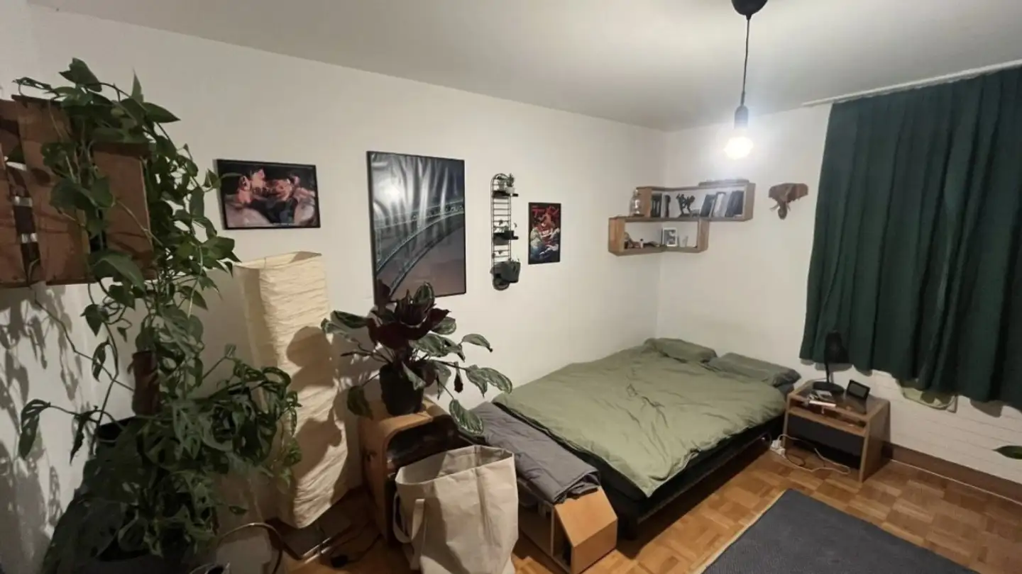 Stanza singola in affitto - 3006 Bern