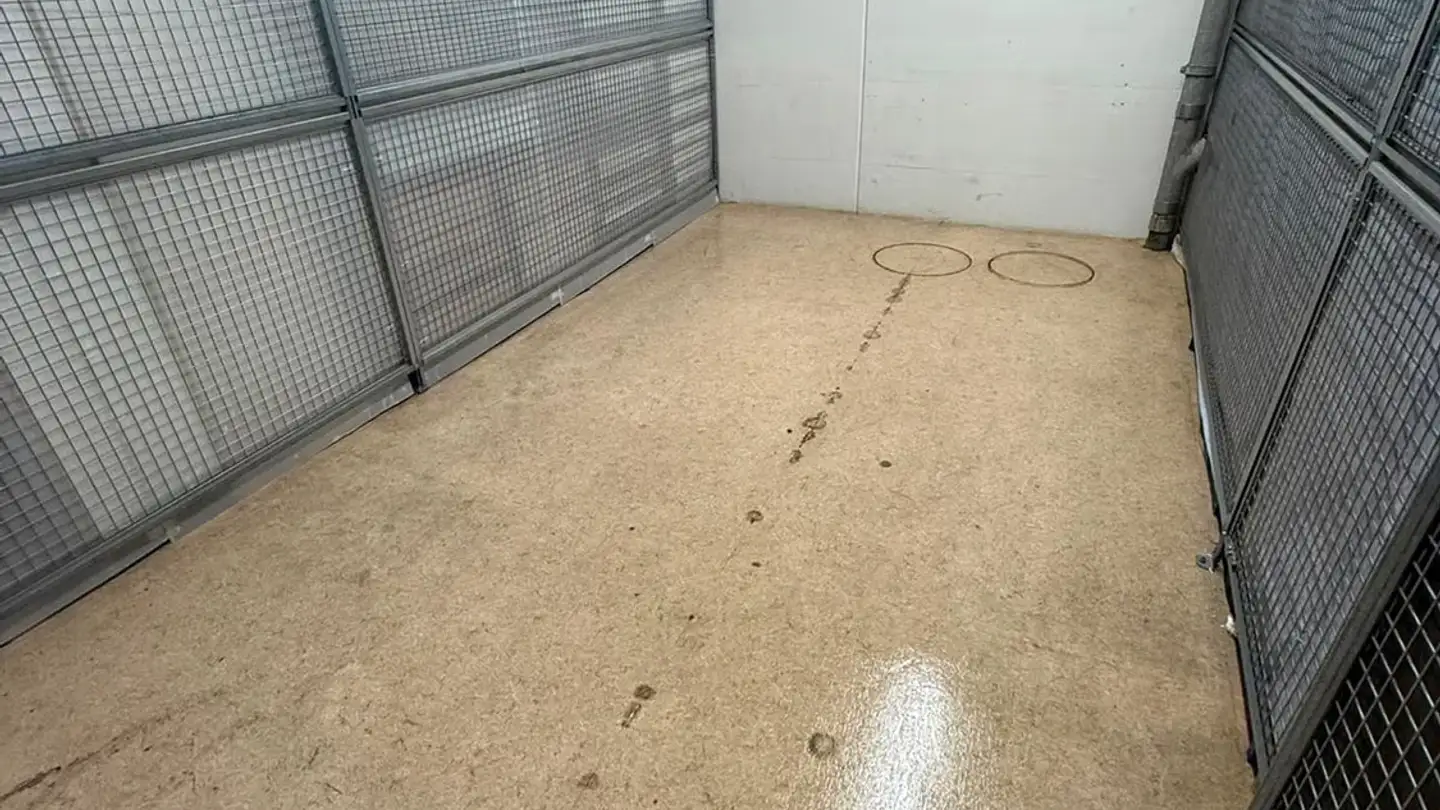 Cellar partition for rent - Thurgauerstrasse 117, 8152 Glattpark (Opfikon)