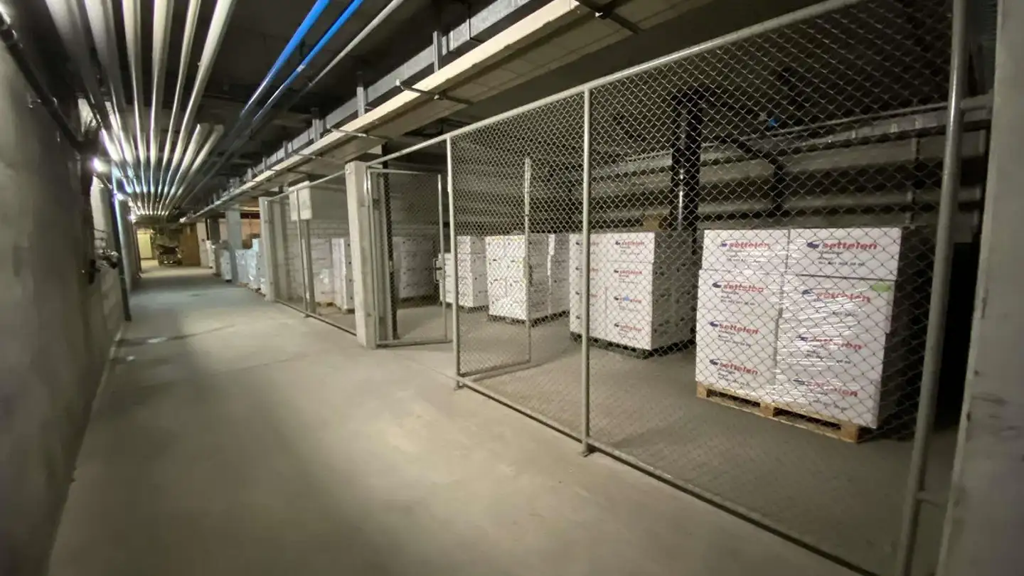 Storage space for rent - Muttenzerstrasse 143, 4133 Pratteln - Photo 3