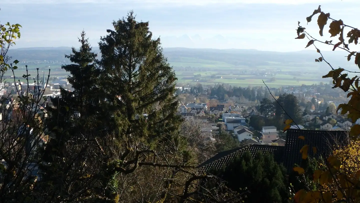 Bauland kaufen - Bergstrasse 54, 2540 Grenchen