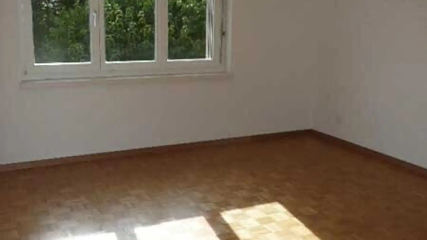 Appartement à louer - Einhardweg, 8603 Schwerzenbach - Photo 3