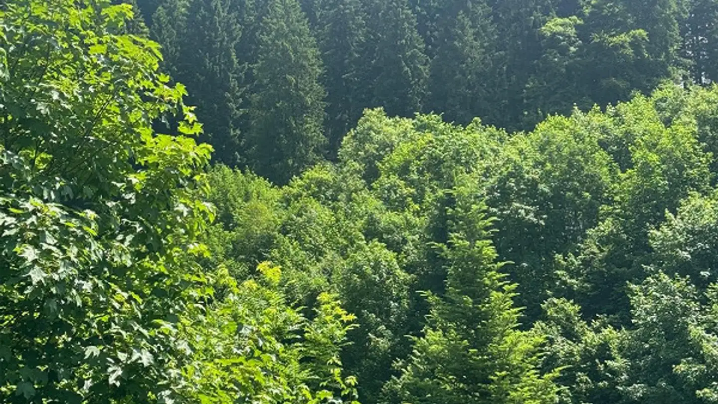 Terreno edificabile in vendita - 6390 Engelberg - Photo 2