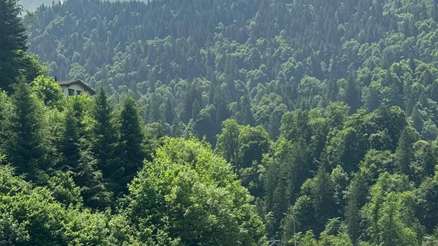 Terreno edificabile in vendita - 6390 Engelberg - Photo 3