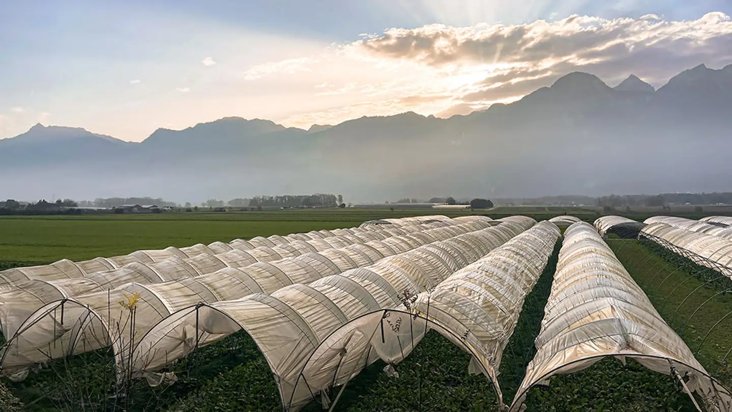 Appartement à vendre - 1844 Villeneuve VD - Photo 3
