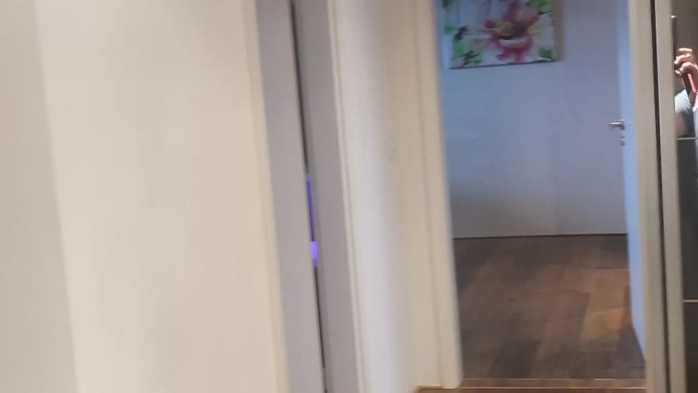 Appartamento in affitto - 8834 Schindellegi - Photo 4