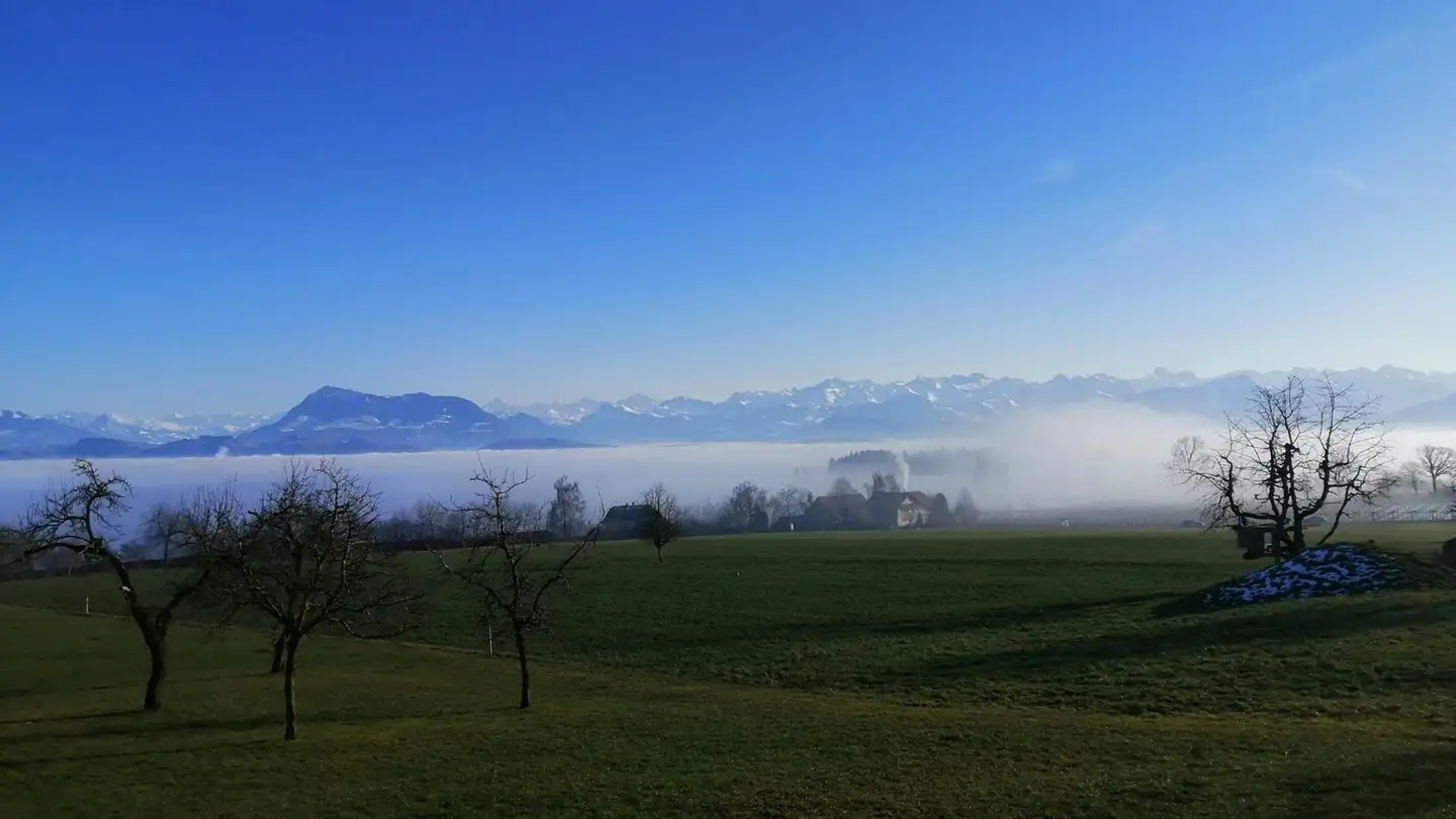 Wohnung mieten - Williswil 3, 6027 Römerswil LU - Foto 4