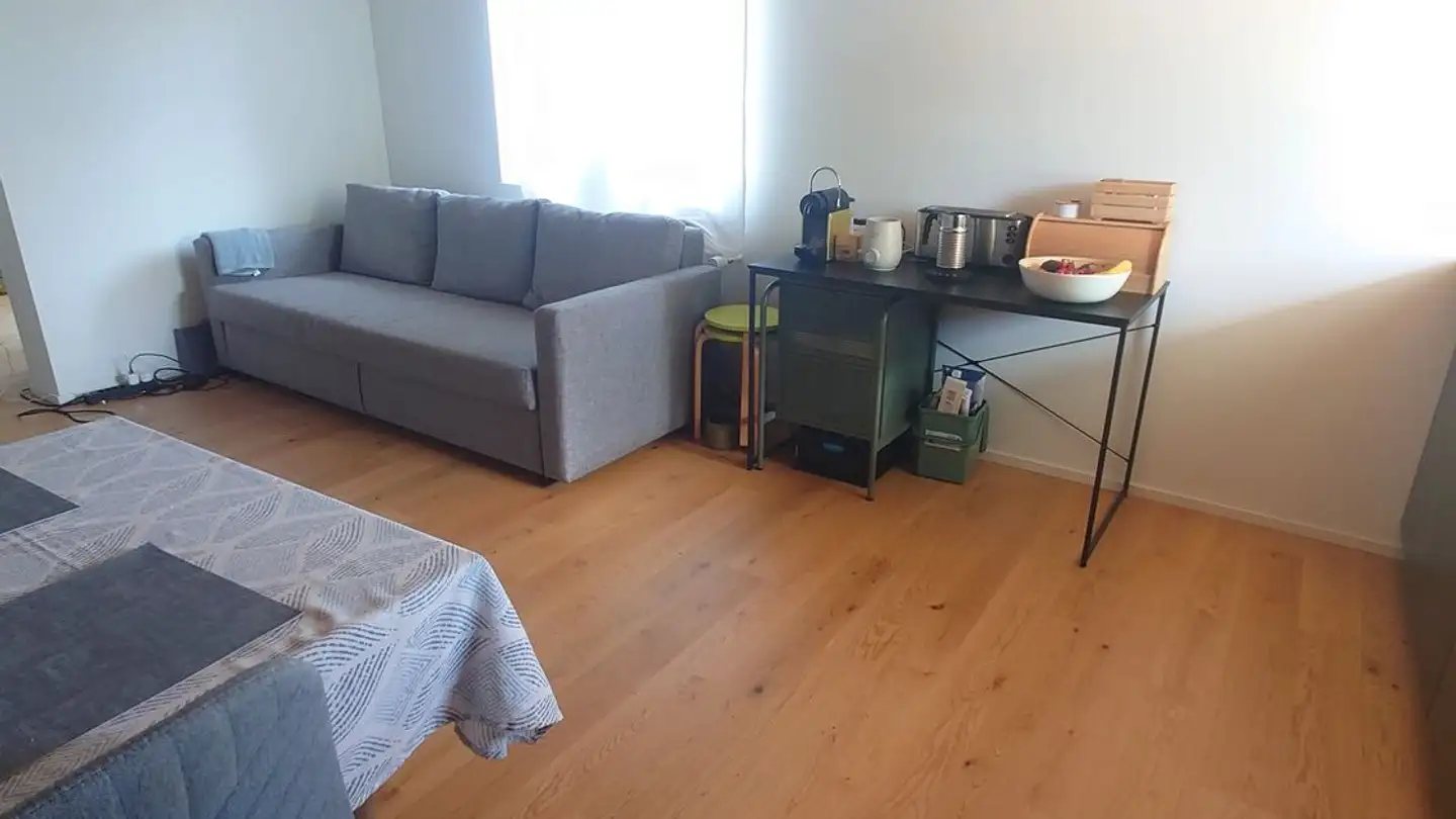 Apartment for rent - Römerstrasse 194, 8404 Winterthur - Photo 2