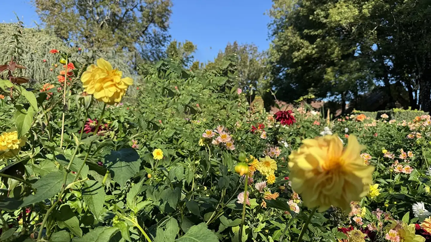 Wohnung kaufen - 2035 Corcelles NE