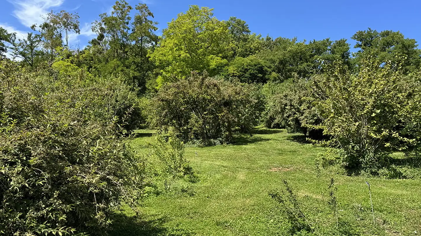 Wohnung kaufen - 2035 Corcelles NE - Foto 2