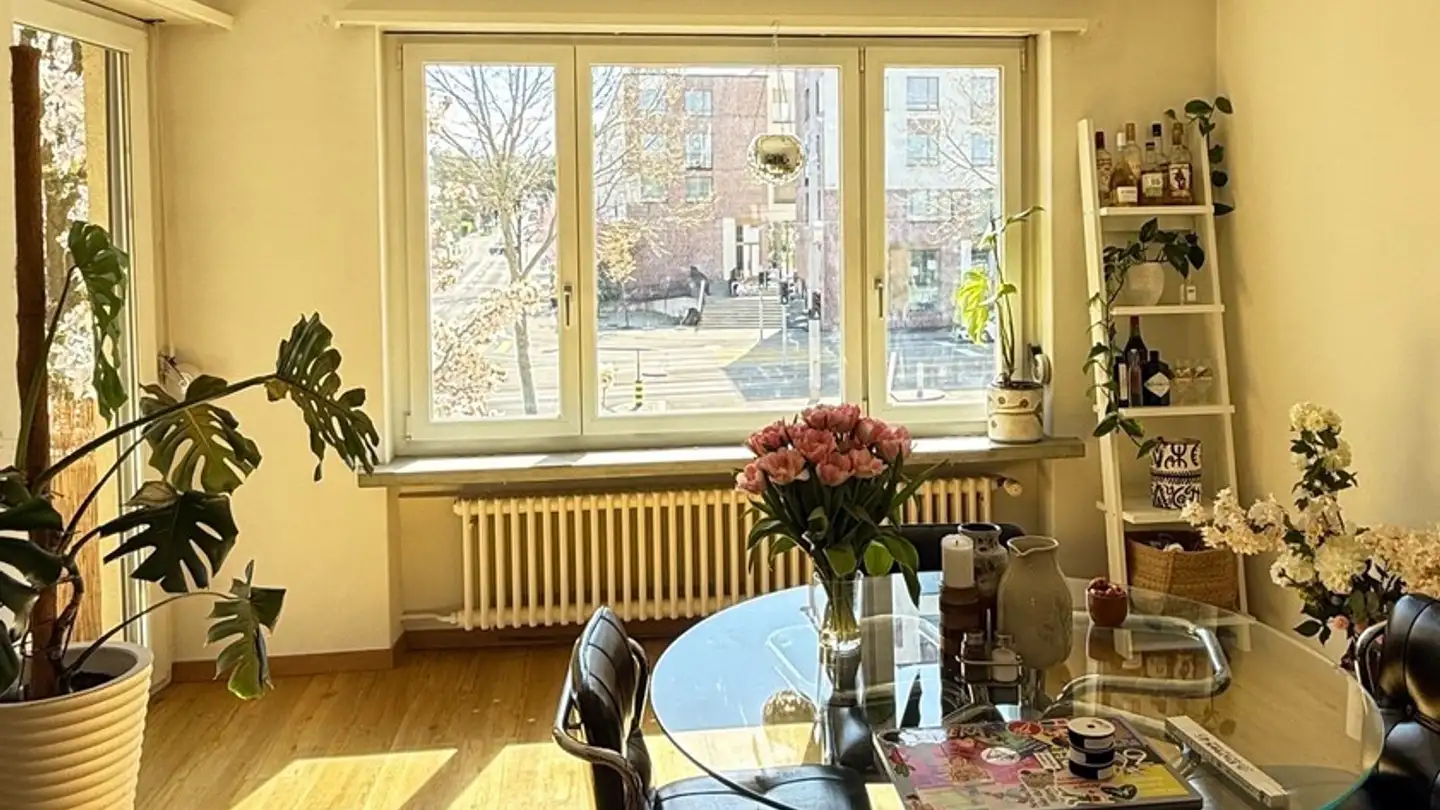 Wohnung mieten - 8055 Zürich