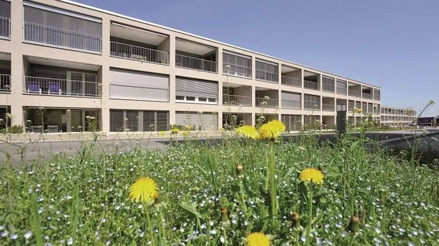 Appartement à louer - Vogelherdstrasse 7b, 9016 St. Gallen