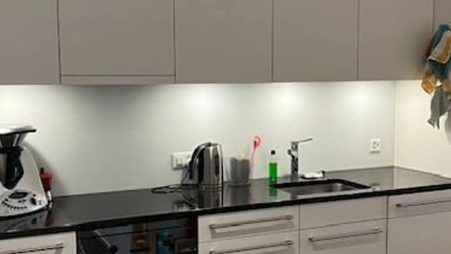 Apartment for rent - Hungerbergstrasse 29, 8046 Zürich - Photo 4