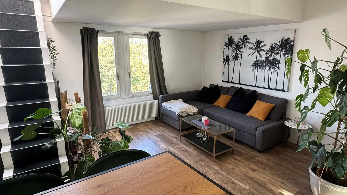 Appartement à louer - Falkenstrasse 11, 8630 Rüti ZH