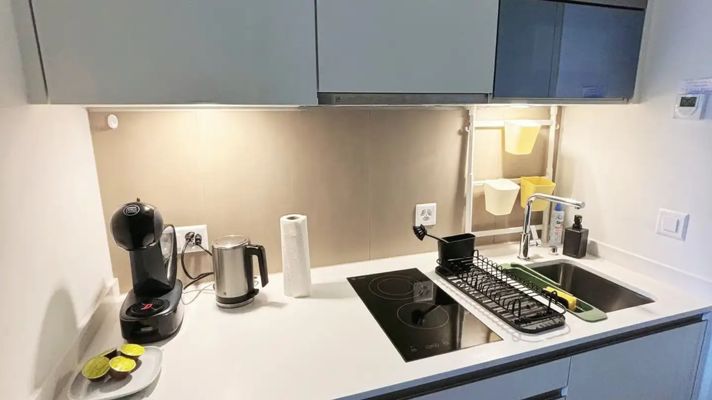 Furnished apartment for rent - Hohlstrasse 104, 8004 Zürich