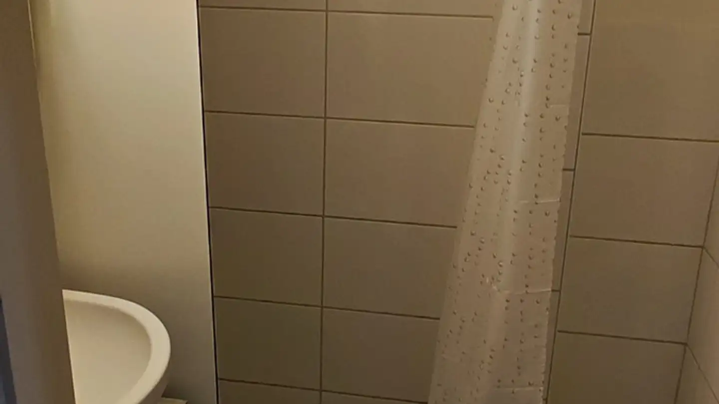 Appartement à louer - Erzgrubenweg 19, 5000 Aarau - Photo 2