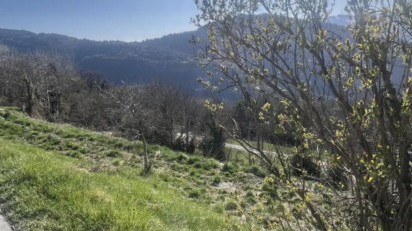 Terrain constructible à vendre - 1966 St-Romain (Ayent) - Photo 3