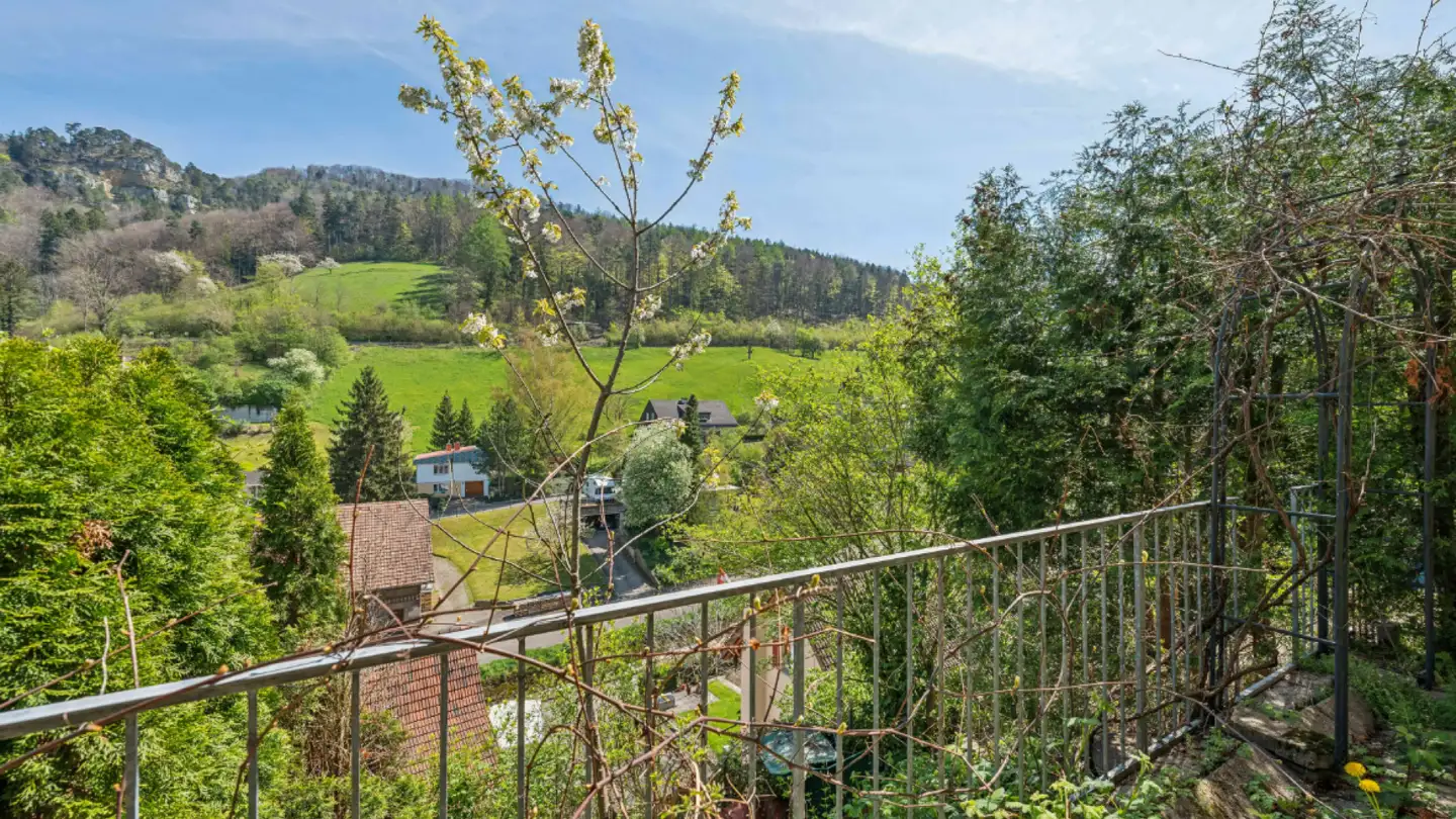 Casa a schiera in vendita - 4437 Waldenburg - Photo 3