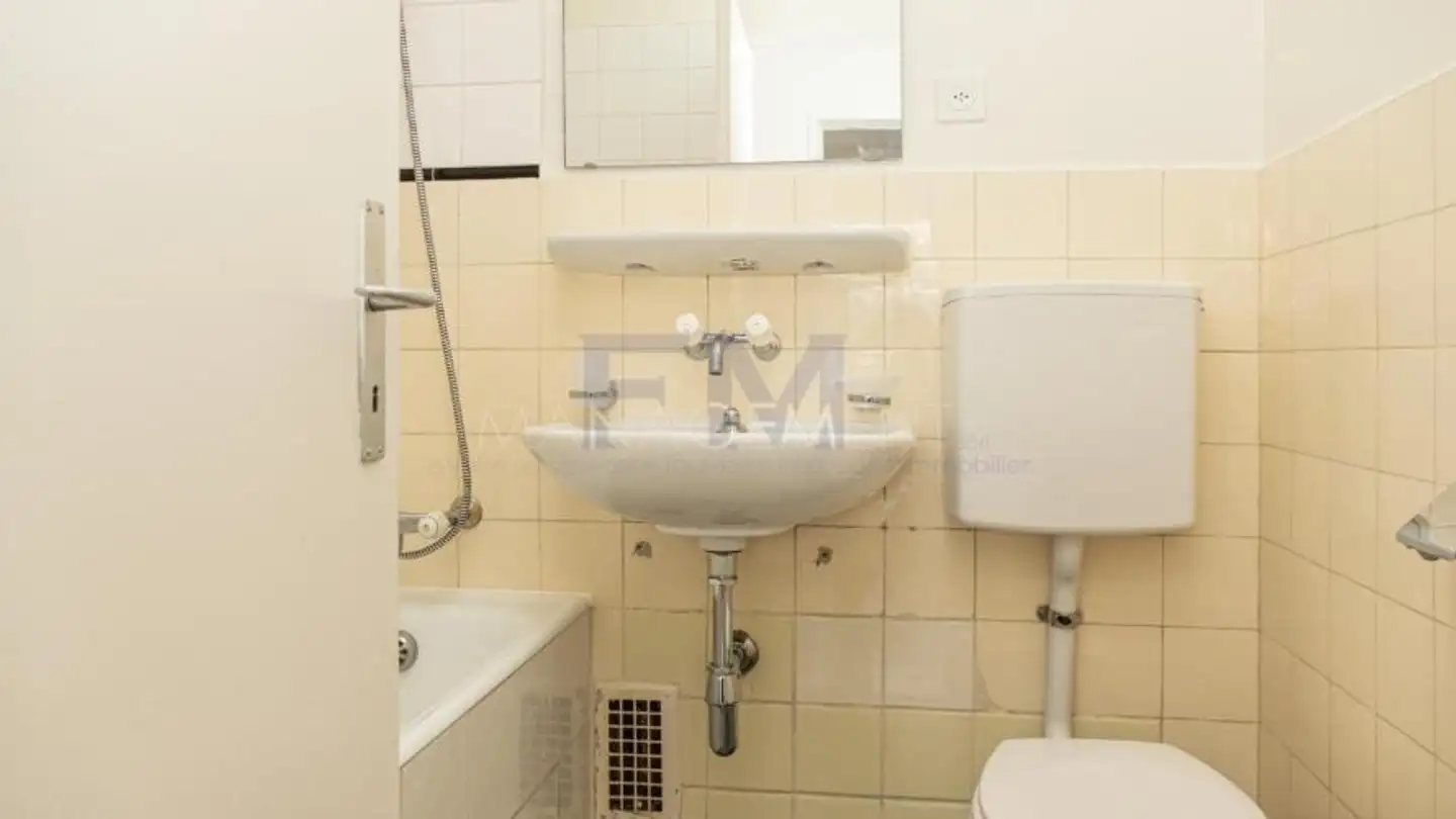 Wohnung mieten - Rue Peillonnex, 1225 Chêne-Bourg - Foto 4