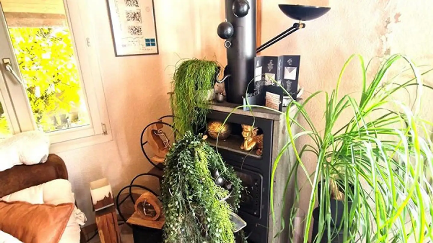 Appartement à vendre - 3375 Inkwil - Photo 3