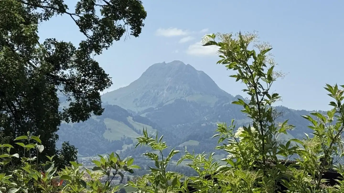 Attique à vendre - 1652 Botterens