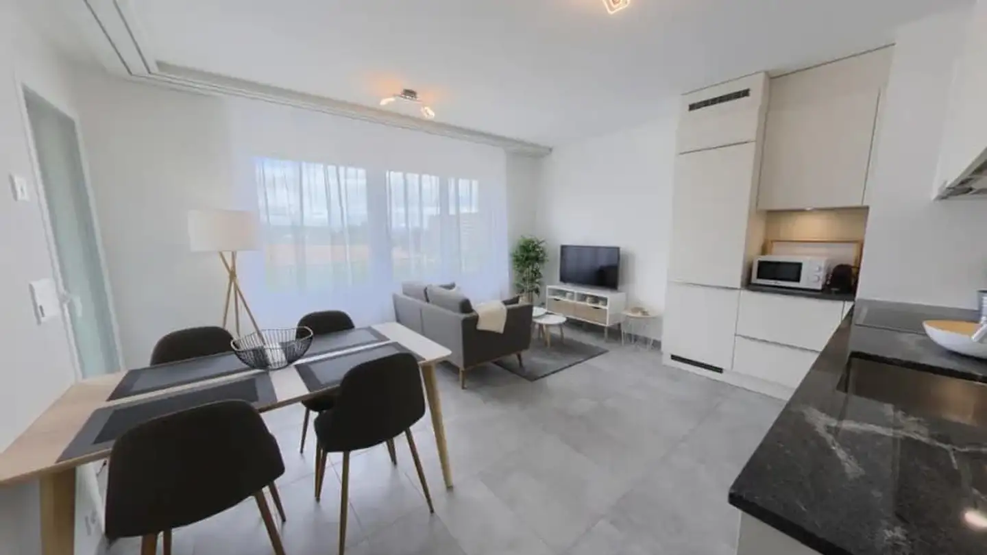 Wohnung mieten - Chemin Falconnier 43, 1260 Nyon