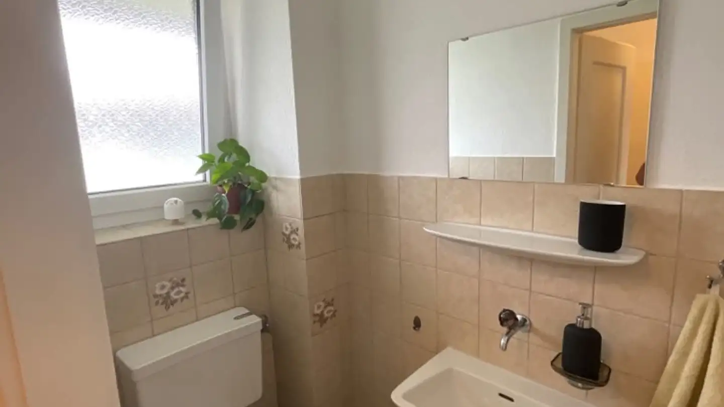 Appartamento in affitto - Weberstrasse 85, 8400 Winterthur - Foto 2