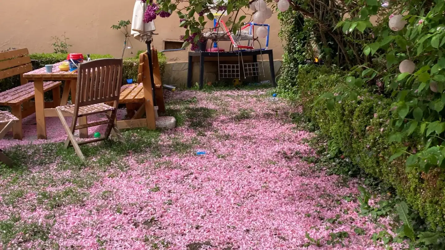 Appartamento in affitto - 1131 Tolochenaz - Foto 2