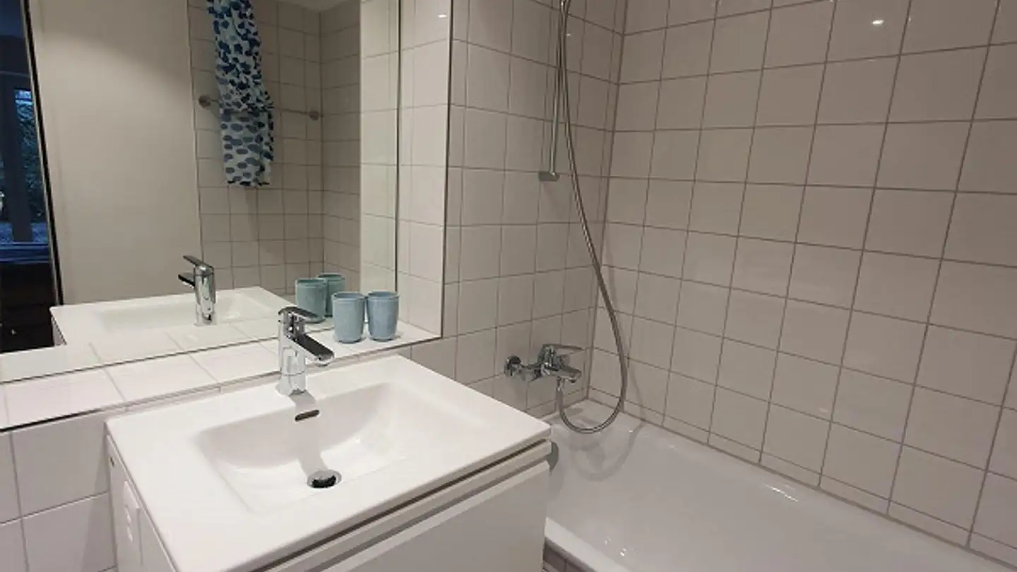 Appartamento in affitto - In Der Wässeri 25, 8047 Zürich - Photo 4