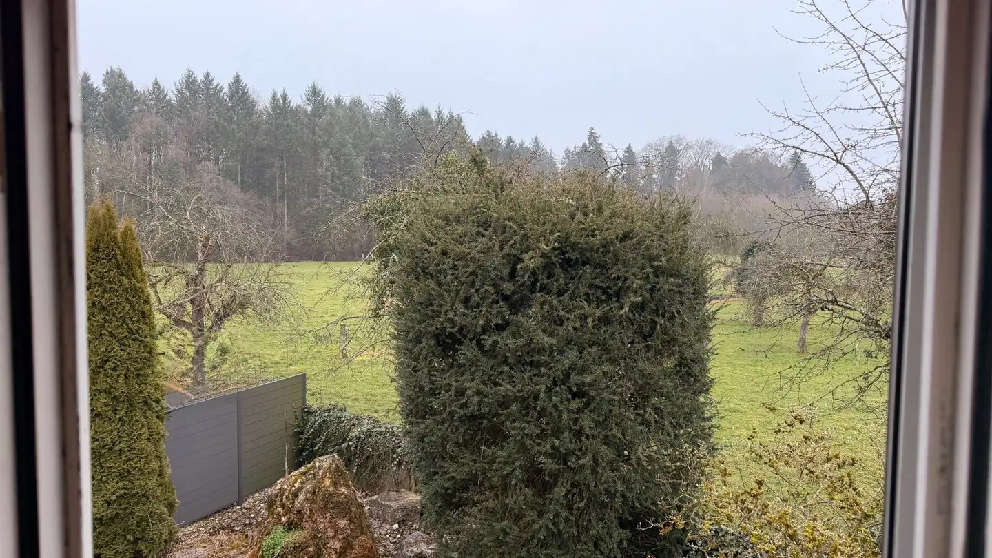 Single room for rent - Schulhausstrasse 41, 4563 Gerlafingen - Photo 3