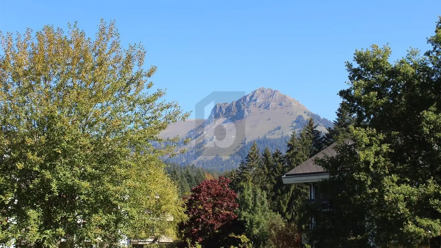 Hotel for sale - Route Des Paccots, 1619 Les Paccots - Photo 2