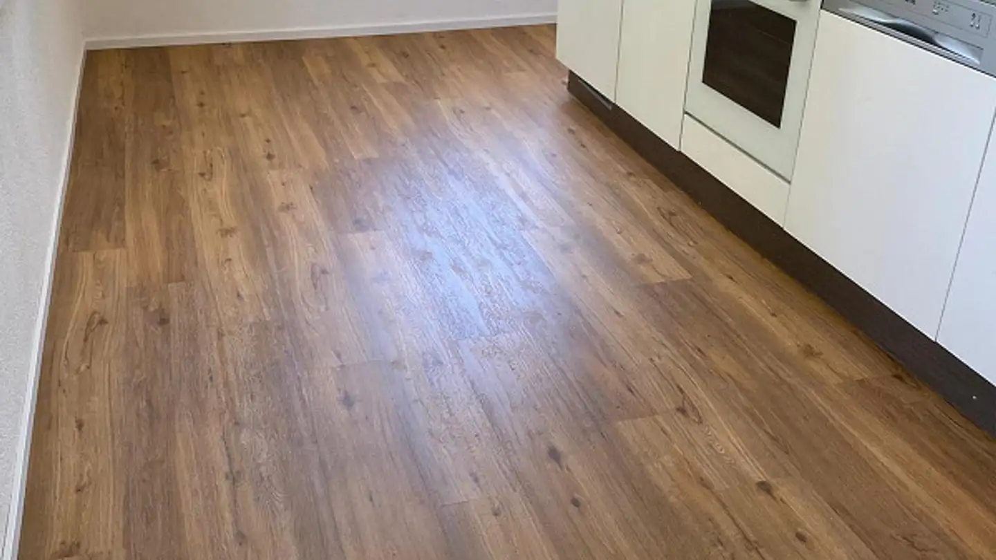 Appartement à louer - Kreuzlingerstrasse 20, 8590 Romanshorn - Photo 2