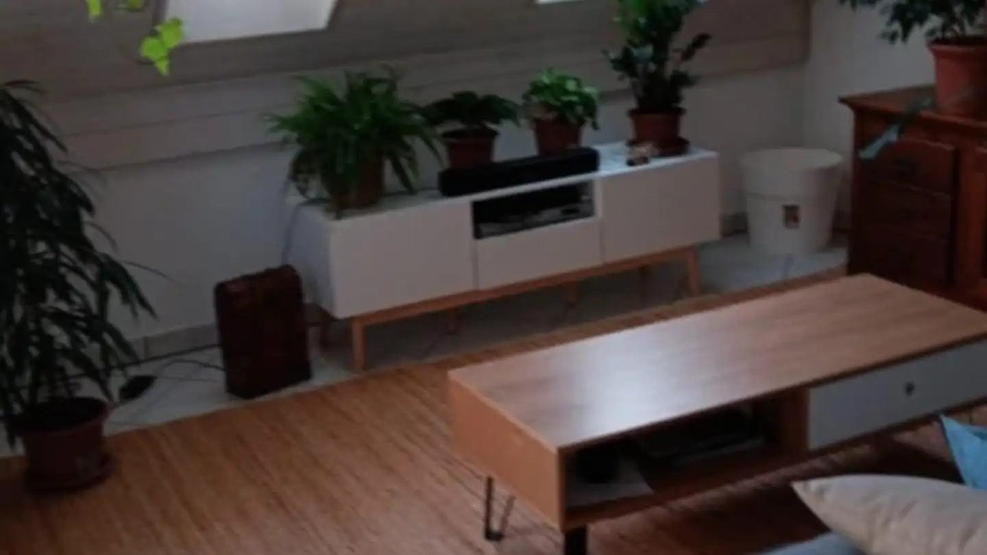 Stanza singola in affitto - 8600 Dübendorf