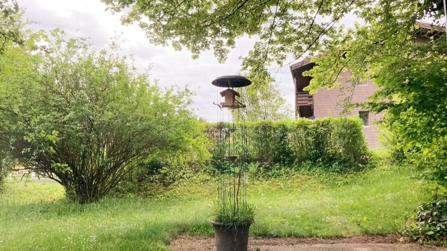 Appartamento in affitto - Schalensteinweg, 2540 Grenchen