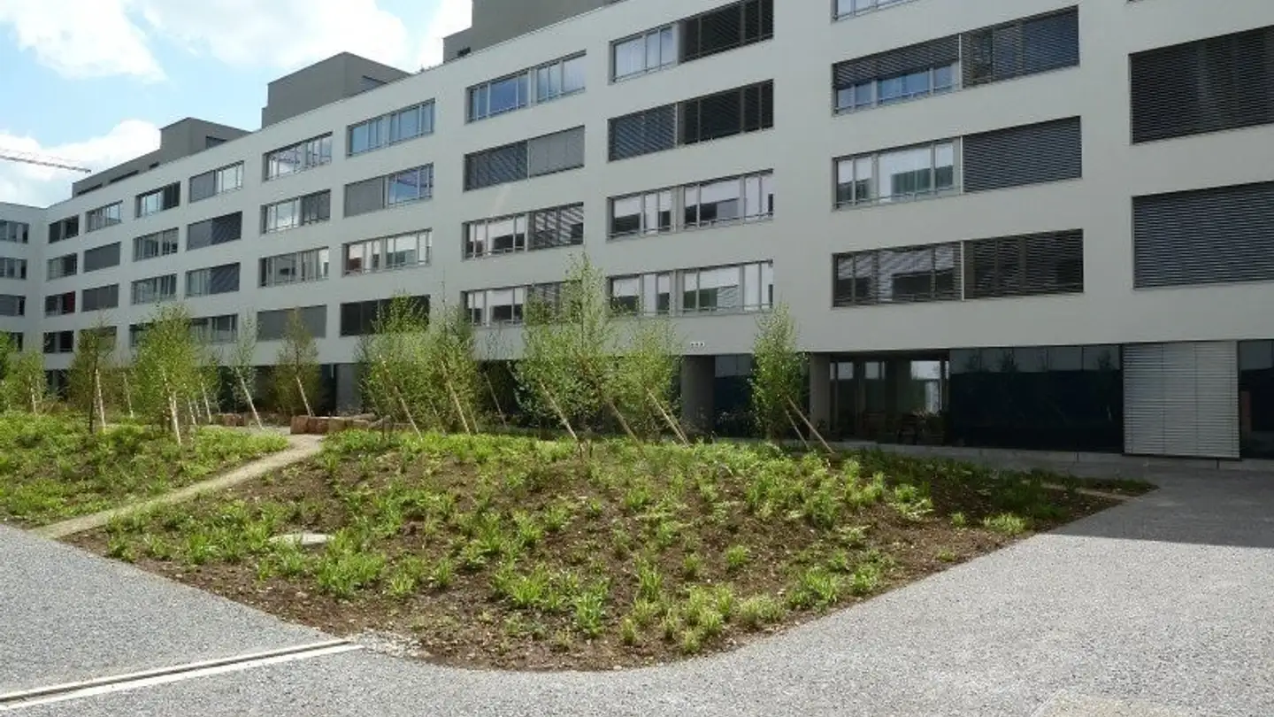 Attico in affitto - Else-Züblin-Strasse 94, 8404 Winterthur