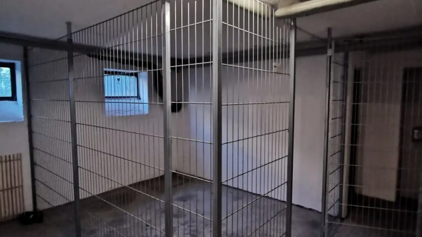 Espace de stockage à louer - Albisriederstrasse 22, 8003 Zürich - Photo 2