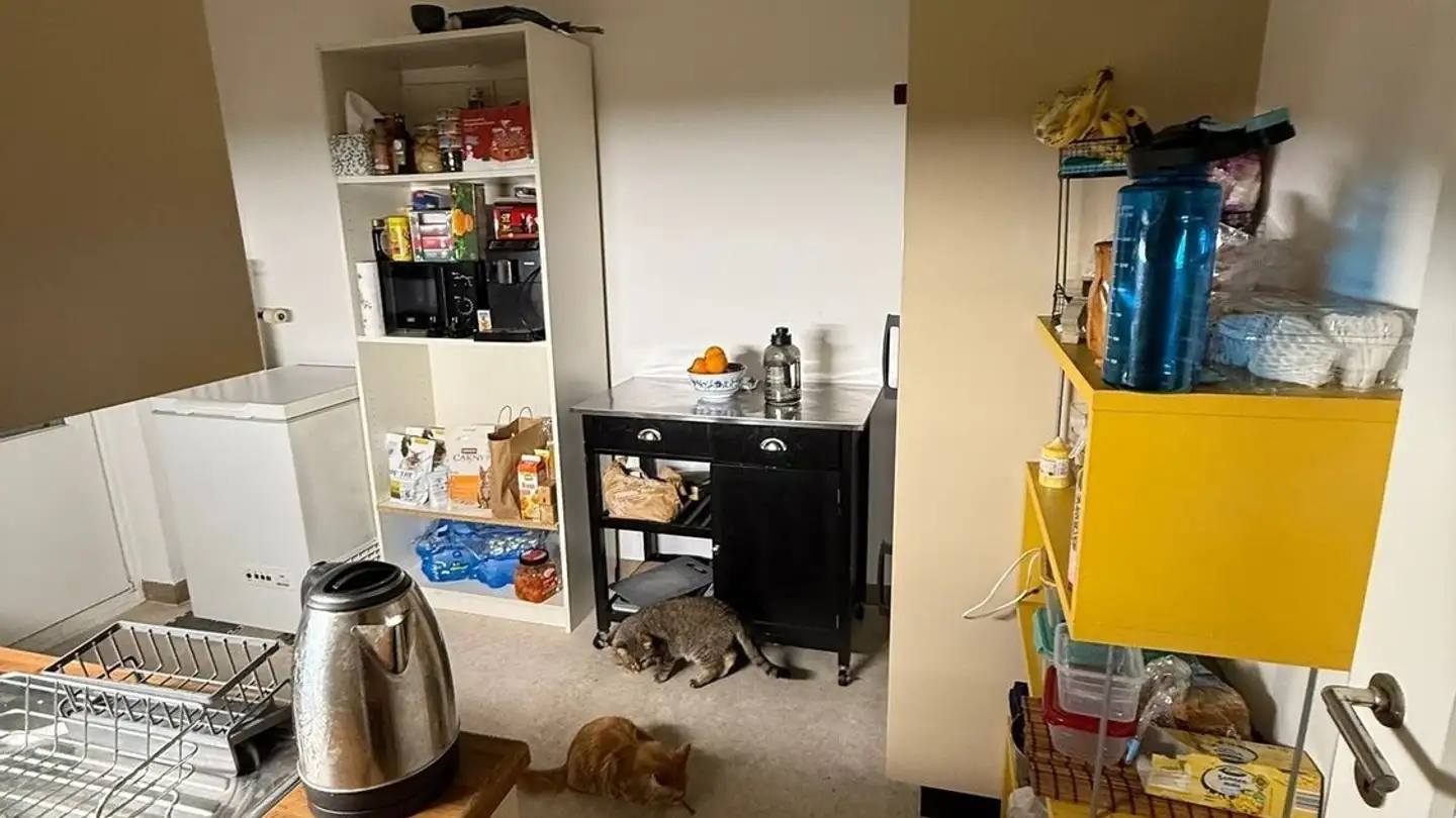 Wohnung mieten - 4055 Basel - Foto 4