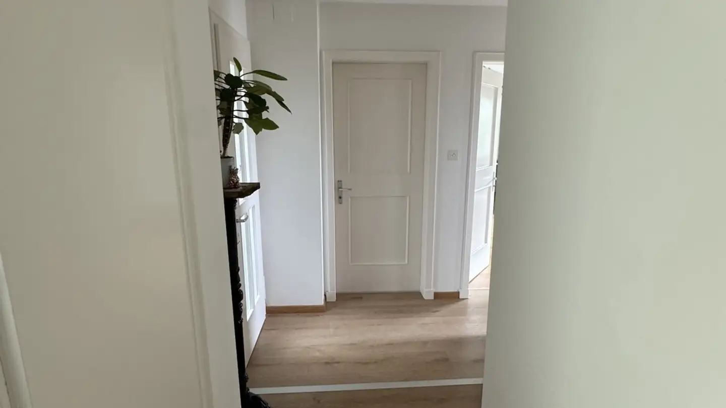 Chambre à louer - Hafenstrasse 4, 8590 Romanshorn - Photo 2