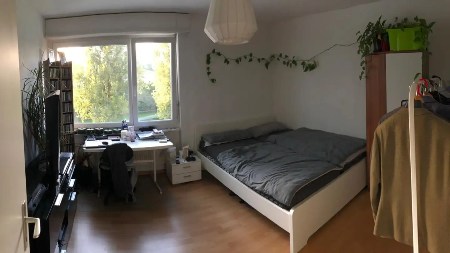 Single room for rent - Luzernerstrasse 91, 6333 Hünenberg See