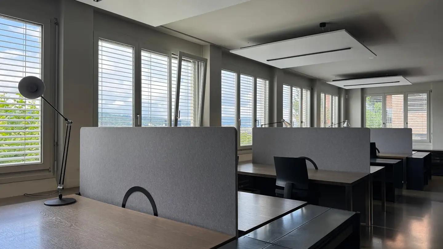 Office space for rent - Ackersteinstrasse 119, 8049 Zürich