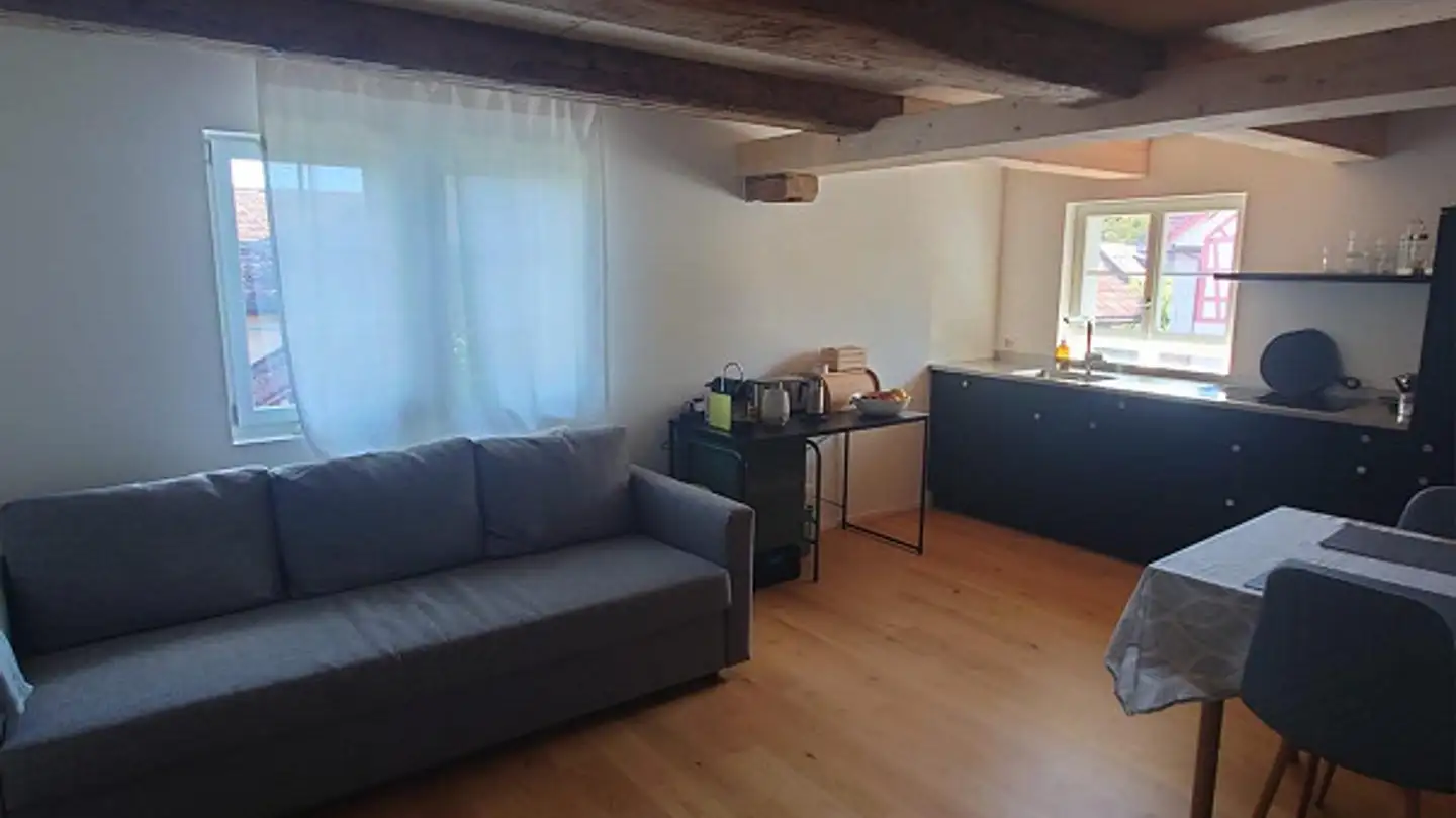 Appartamento in affitto - 8404 Winterthur - Foto 4