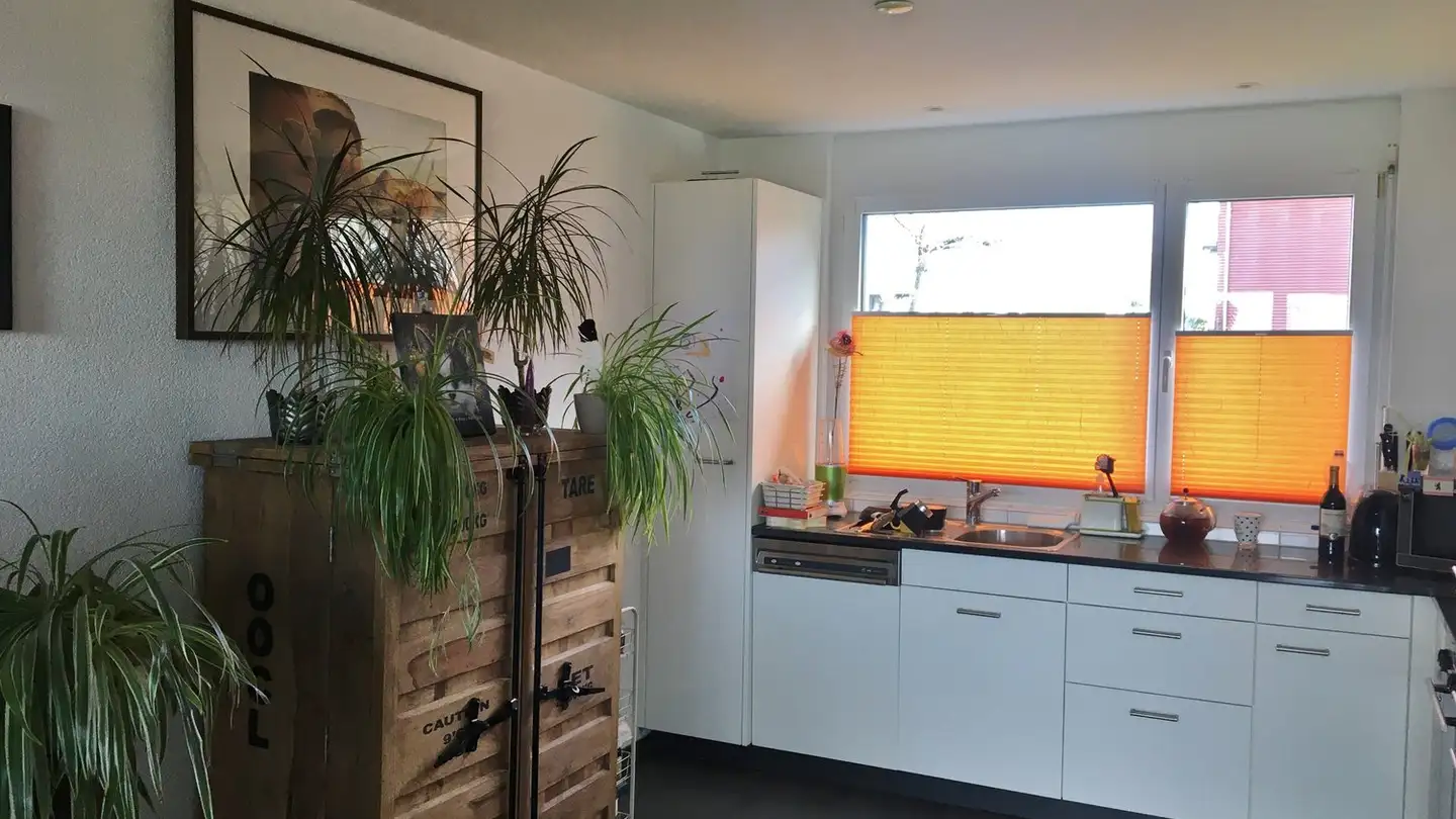 Appartement à louer - Fräschelsgasse 49, 3210 Kerzers - Photo 2