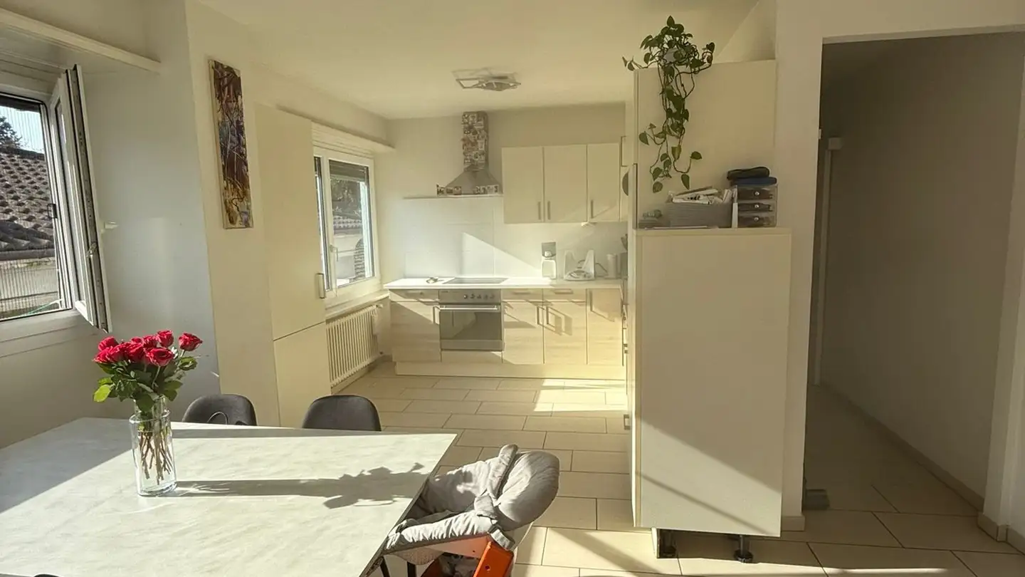 Appartamento in vendita - Via Angelo Nessi, 6600 Locarno