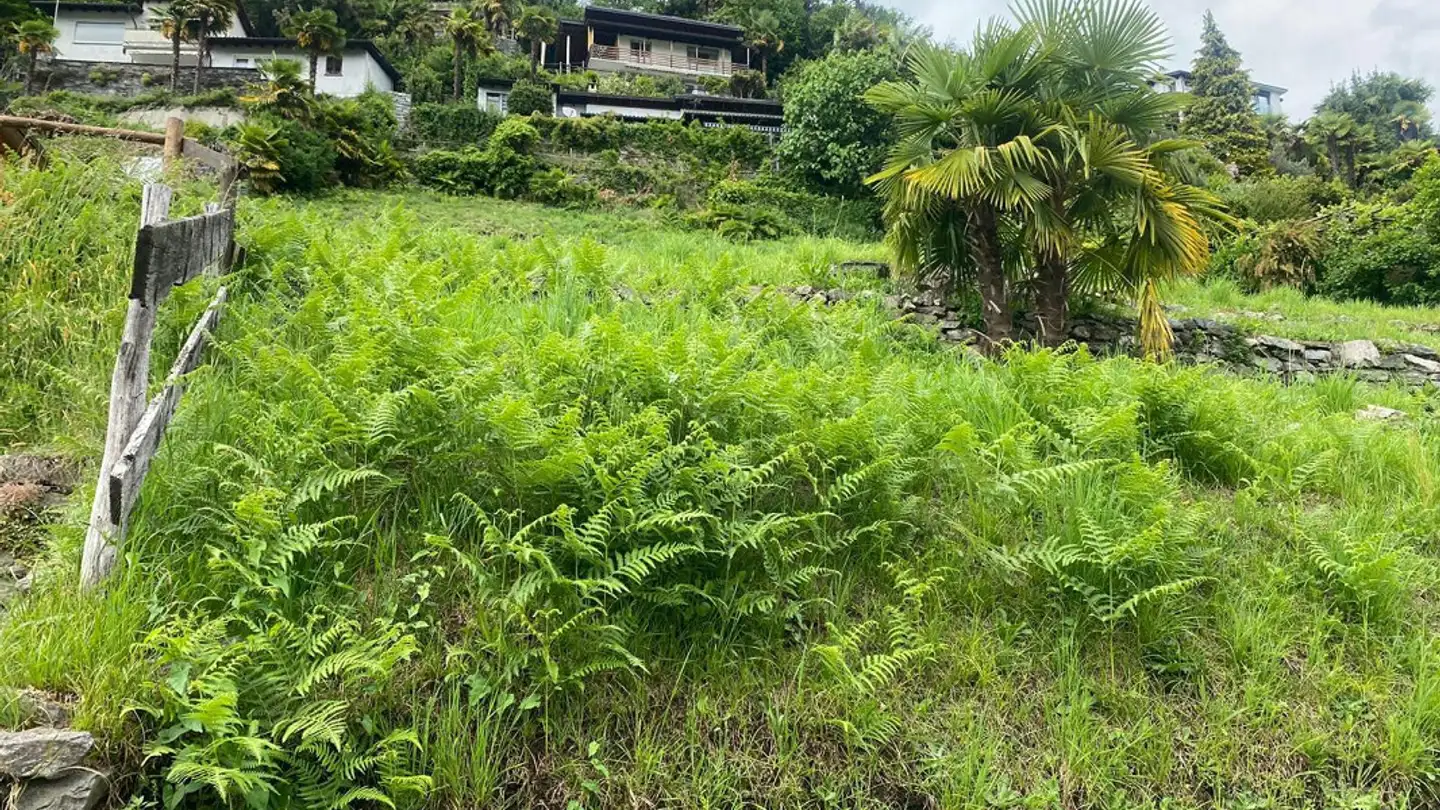 Constructible plot for sale - Via Agarone, 6597 Agarone - Photo 4