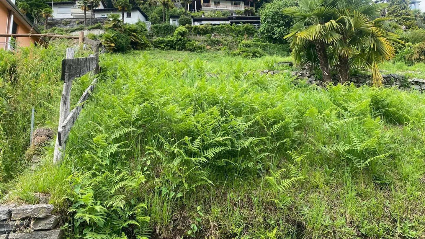 Constructible plot for sale - Via Agarone, 6597 Agarone - Photo 3