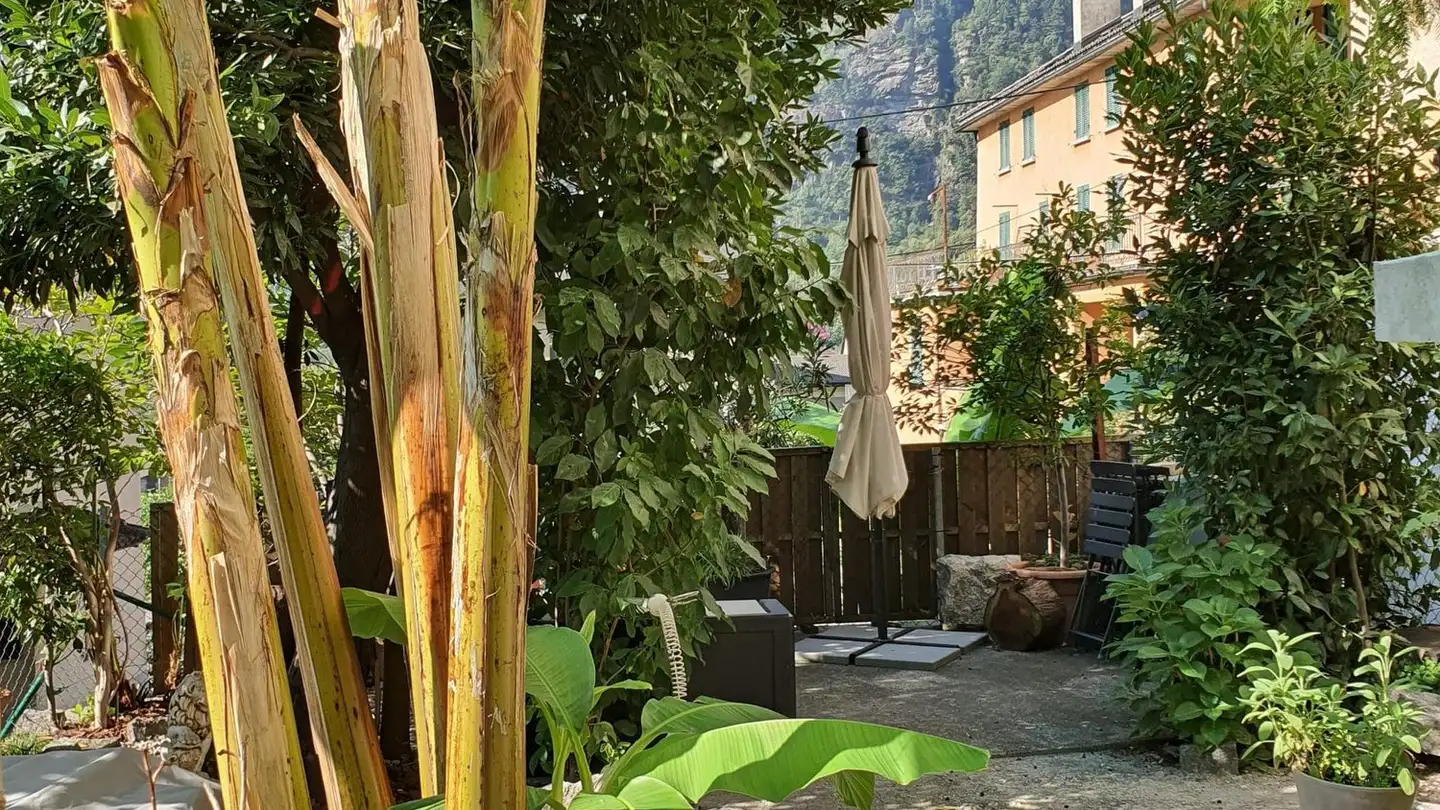 Single house for sale - 6745 Giornico - Photo 2