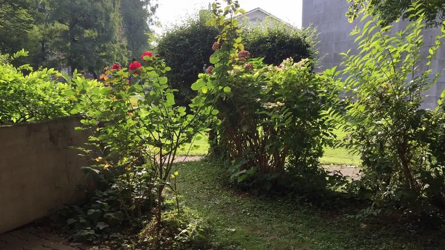 Wohnung mieten - Letzigraben 51, 8003 Zürich