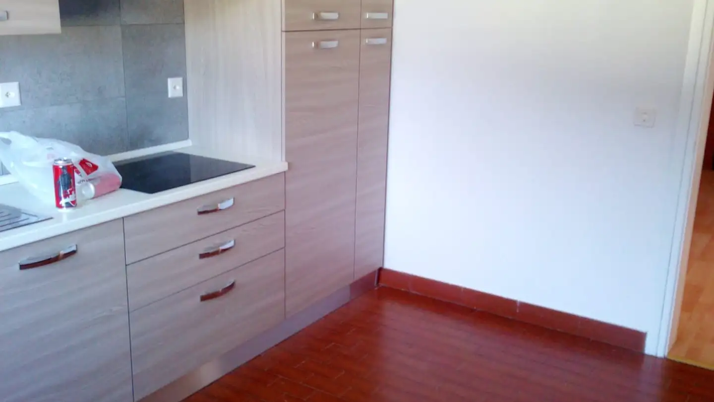Appartamento in affitto - Via San Gottardo 22, 6593 Cadenazzo - Foto 2