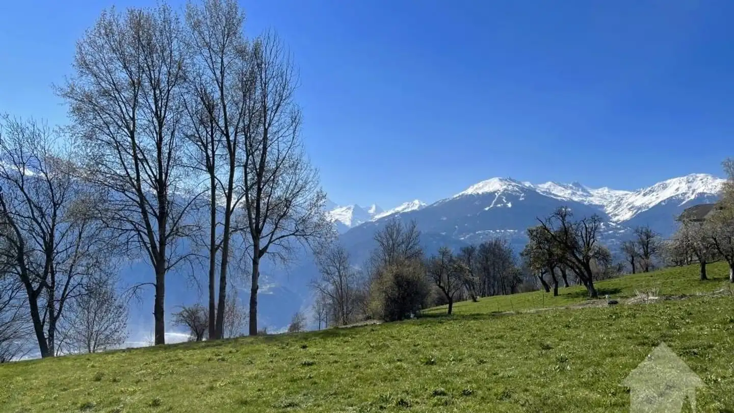 Bauland kaufen - 3975 Randogne